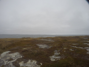 Photograph of Pinchard's Island, Newfoundland — October 29, 2017 at 1:01 PM