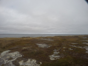 Photograph of Pinchard's Island, Newfoundland — October 29, 2017 at 2:01 PM