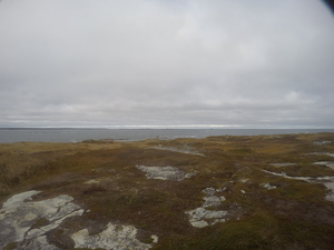 Photograph of Pinchard's Island, Newfoundland — October 29, 2017 at 3:01 PM