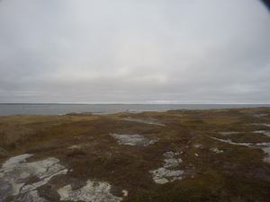 Photograph of Pinchard's Island, Newfoundland — October 29, 2017 at 4:01 PM