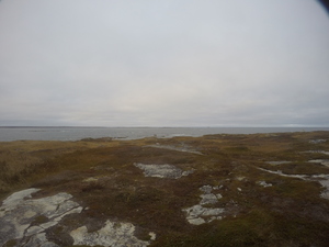 Photograph of Pinchard's Island, Newfoundland — October 29, 2017 at 5:01 PM