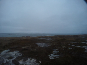 Photograph of Pinchard's Island, Newfoundland — October 29, 2017 at 6:01 PM