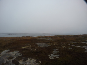 Photograph of Pinchard's Island, Newfoundland — October 30, 2017 at 8:01 AM