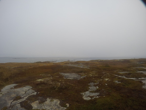 Photograph of Pinchard's Island, Newfoundland — October 30, 2017 at 9:01 AM