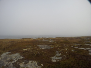 Photograph of Pinchard's Island, Newfoundland — October 30, 2017 at 10:01 AM
