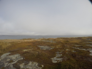 Photograph of Pinchard's Island, Newfoundland — October 30, 2017 at 11:01 AM