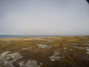 Photograph of Pinchard's Island, Newfoundland — October 30, 2017 at 1:01 PM