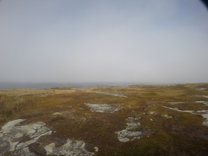 Photograph of Pinchard's Island, Newfoundland — October 30, 2017 at 2:01 PM