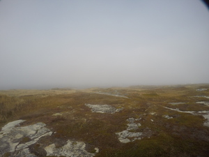 Photograph of Pinchard's Island, Newfoundland — October 30, 2017 at 3:01 PM