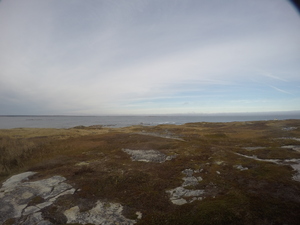 Photograph of Pinchard's Island, Newfoundland — October 30, 2017 at 4:01 PM