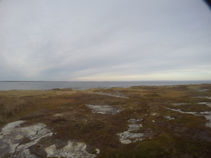 Photograph of Pinchard's Island, Newfoundland — October 30, 2017 at 5:01 PM