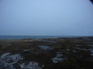 Photograph of Pinchard's Island, Newfoundland — October 31, 2017 at 8:00 AM