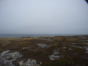 Photograph of Pinchard's Island, Newfoundland — October 31, 2017 at 9:00 AM
