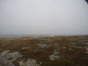Photograph of Pinchard's Island, Newfoundland — October 31, 2017 at 10:00 AM