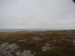 Photograph of Pinchard's Island, Newfoundland — October 31, 2017 at 11:00 AM