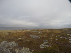 Photograph of Pinchard's Island, Newfoundland — October 31, 2017 at 12:00 PM
