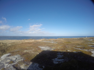 Photograph of Pinchard's Island, Newfoundland — October 31, 2017 at 2:00 PM