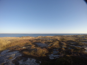Photograph of Pinchard's Island, Newfoundland — November 1, 2017 at 9:00 AM