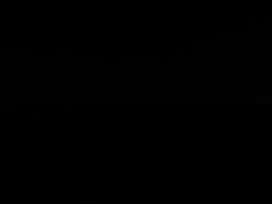 Photograph of Pinchard's Island, Newfoundland — November 1, 2017 at 7:00 PM