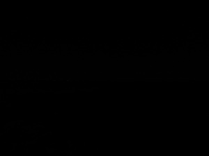 Photograph of Pinchard's Island, Newfoundland — November 1, 2017 at 8:00 PM