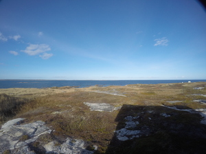 Photograph of Pinchard's Island, Newfoundland — November 2, 2017 at 3:00 PM