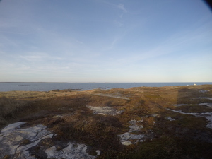 Photograph of Pinchard's Island, Newfoundland — November 2, 2017 at 5:00 PM