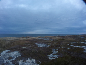 Photograph of Pinchard's Island, Newfoundland — November 3, 2017 at 8:00 AM