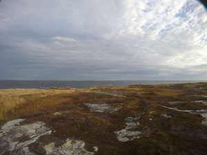 Photograph of Pinchard's Island, Newfoundland — November 3, 2017 at 9:00 AM