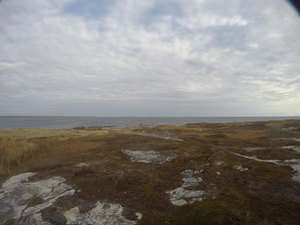 Photograph of Pinchard's Island, Newfoundland — November 3, 2017 at 10:00 AM