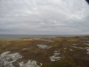 Photograph of Pinchard's Island, Newfoundland — November 3, 2017 at 11:00 AM
