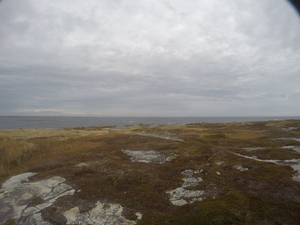 Photograph of Pinchard's Island, Newfoundland — November 3, 2017 at 11:36 AM