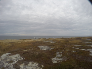 Photograph of Pinchard's Island, Newfoundland — November 3, 2017 at 11:36 AM