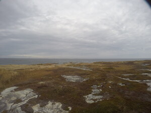 Photograph of Pinchard's Island, Newfoundland — November 3, 2017 at 11:40 AM