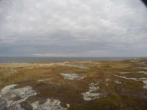 Photograph of Pinchard's Island, Newfoundland — November 3, 2017 at 12:00 PM