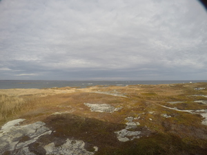 Photograph of Pinchard's Island, Newfoundland — November 3, 2017 at 12:35 PM