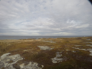 Photograph of Pinchard's Island, Newfoundland — November 3, 2017 at 2:00 PM