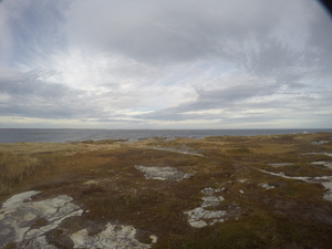 Photograph of Pinchard's Island, Newfoundland — November 3, 2017 at 3:00 PM