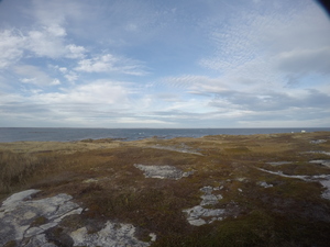 Photograph of Pinchard's Island, Newfoundland — November 3, 2017 at 4:00 PM