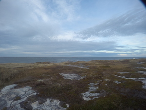 Photograph of Pinchard's Island, Newfoundland — November 3, 2017 at 5:00 PM