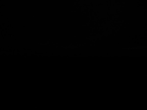 Photograph of Pinchard's Island, Newfoundland — November 3, 2017 at 8:00 PM