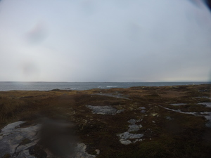 Photograph of Pinchard's Island, Newfoundland — November 4, 2017 at 9:00 AM