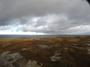 Photograph of Pinchard's Island, Newfoundland — November 4, 2017 at 10:00 AM