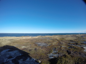 Photograph of Pinchard's Island, Newfoundland — November 4, 2017 at 11:00 AM