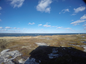 Photograph of Pinchard's Island, Newfoundland — November 4, 2017 at 2:00 PM