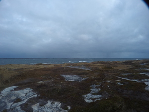 Photograph of Pinchard's Island, Newfoundland — November 5, 2017 at 8:00 AM