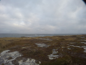 Photograph of Pinchard's Island, Newfoundland — November 5, 2017 at 9:00 AM