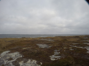 Photograph of Pinchard's Island, Newfoundland — November 5, 2017 at 10:00 AM