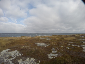 Photograph of Pinchard's Island, Newfoundland — November 5, 2017 at 11:00 AM