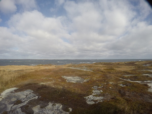 Photograph of Pinchard's Island, Newfoundland — November 5, 2017 at 12:00 PM