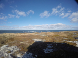Photograph of Pinchard's Island, Newfoundland — November 5, 2017 at 2:00 PM